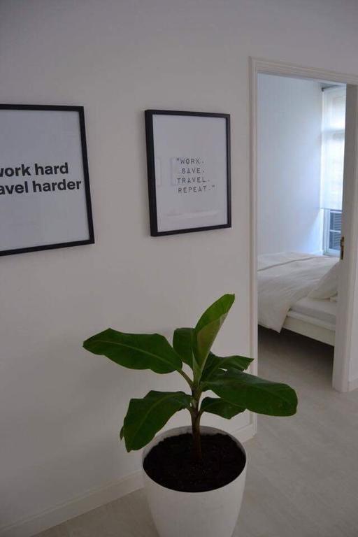 Charming Apartment 101 Фуншал Екстериор снимка